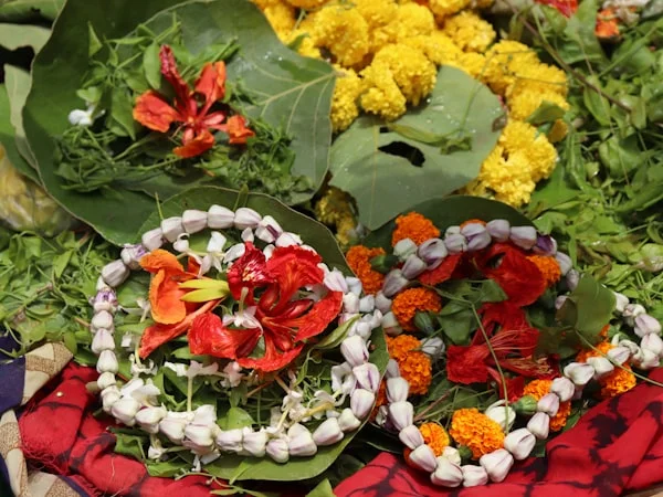 Navgraha Shanti Puja